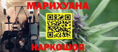 крисы Аргун