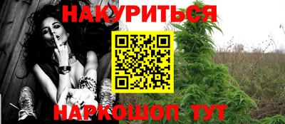 крисы Аргун
