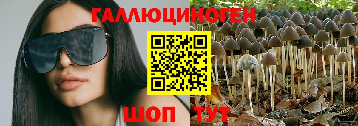 Балабаново  Псилоцибиновые грибы Magic Shrooms  Вход с VPN  Псилоцибиновые грибы прущие грибы 