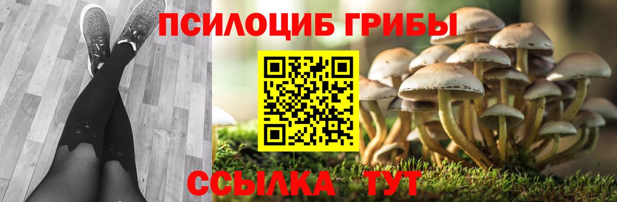 Псилоцибиновые грибы мухоморы Балабаново